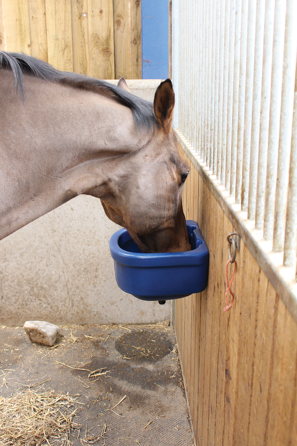 Stable Wall Feeder