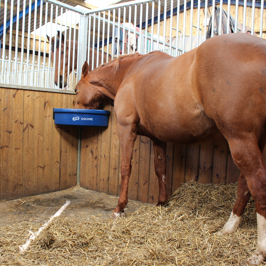 Stable Corner Feeder