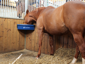 Stable Corner Feeder