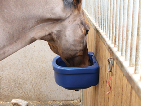 Stable Wall Feeder